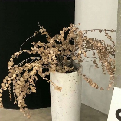 罗源FurryQQ群介绍